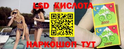 бошки Шахты