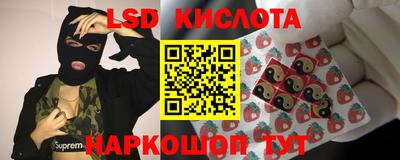 бошки Шахты