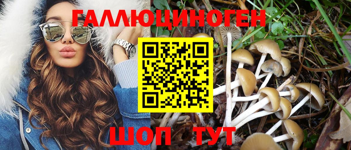 закладка  Вход с VPN  Серпухов  Галлюциногенные грибы ЛСД 