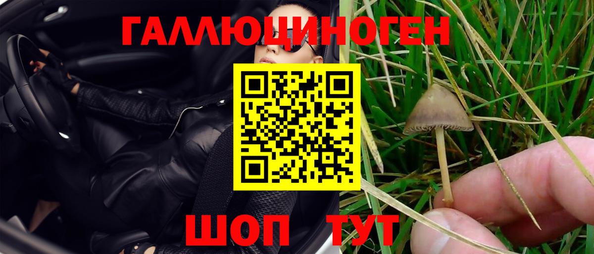 Галлюциногенные грибы Magic Shrooms Серпухов